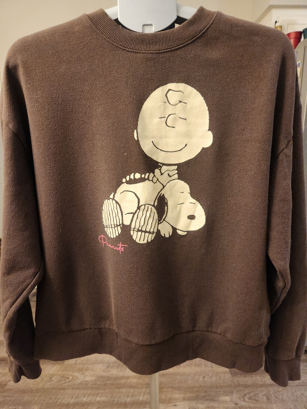 Peanuts Brown Crewneck Sweatshirt with Cream Charlie Brown & Snoopy Graphic